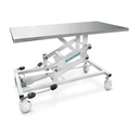 Clearance: Set: Examination table - l hydraulic lift mechanisms, mobile model, 4 castors + Mat