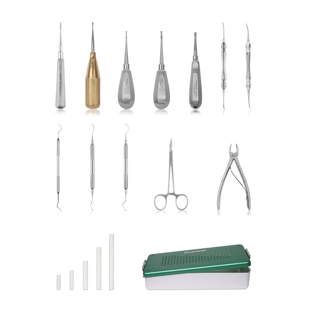 Dental kit for canine and feline  