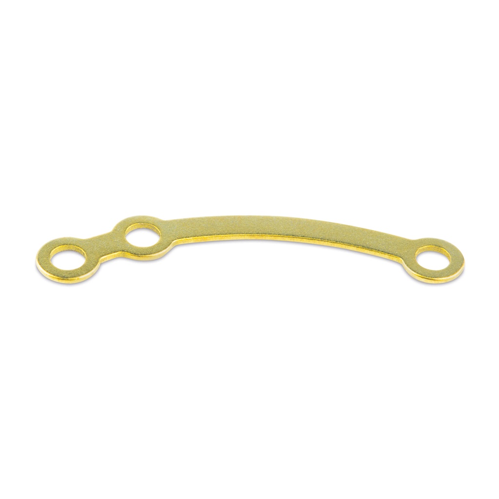 EickLoxx SPP® Safety Plate L, gold  