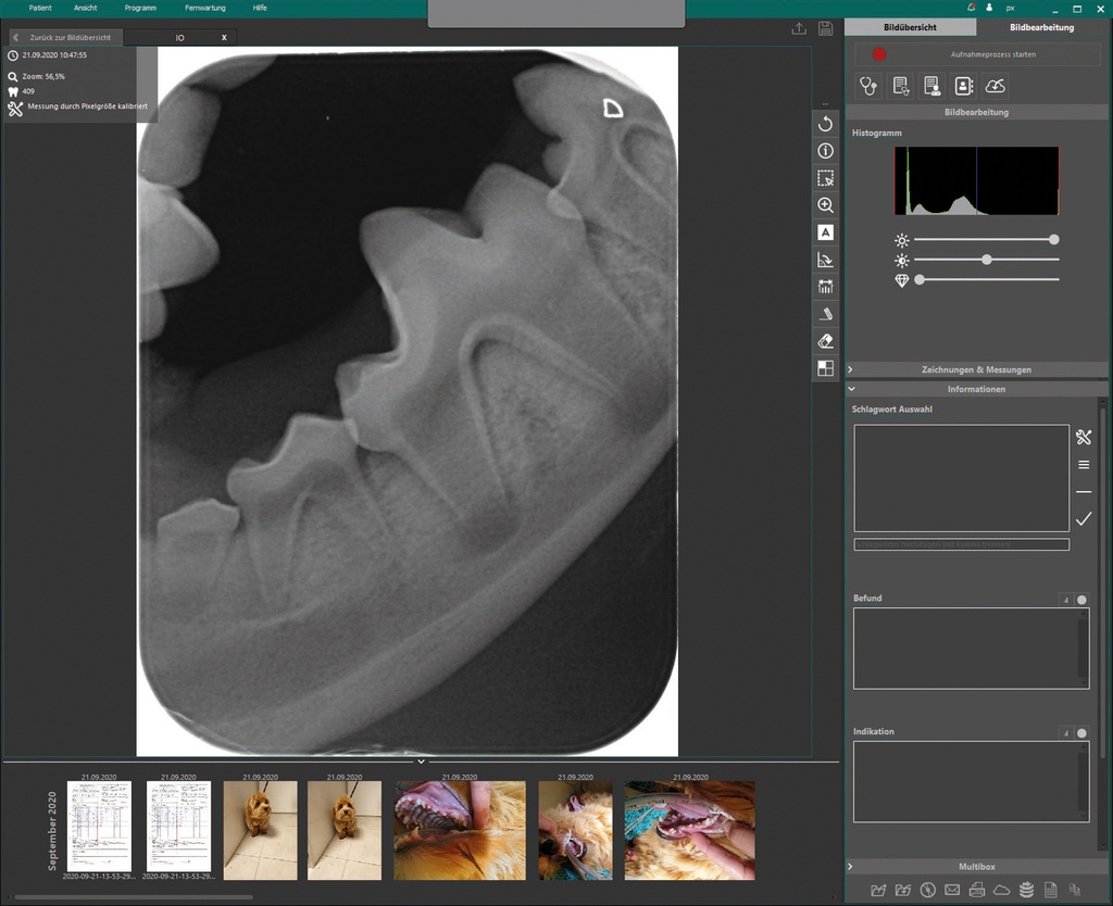 EiVIS Dental - Intraoral x-ray module Eickemeyer Vetereinary Imaging System