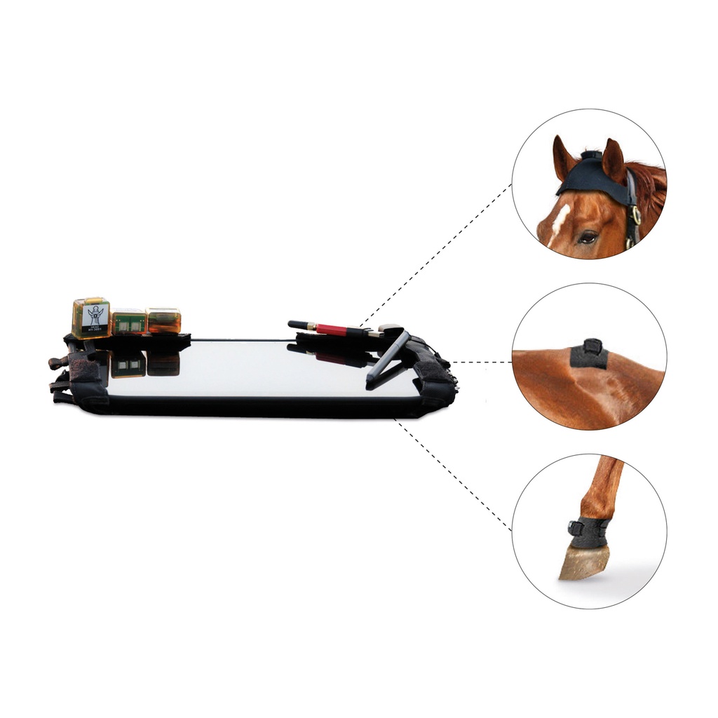 Equinosis Lameness Locator  