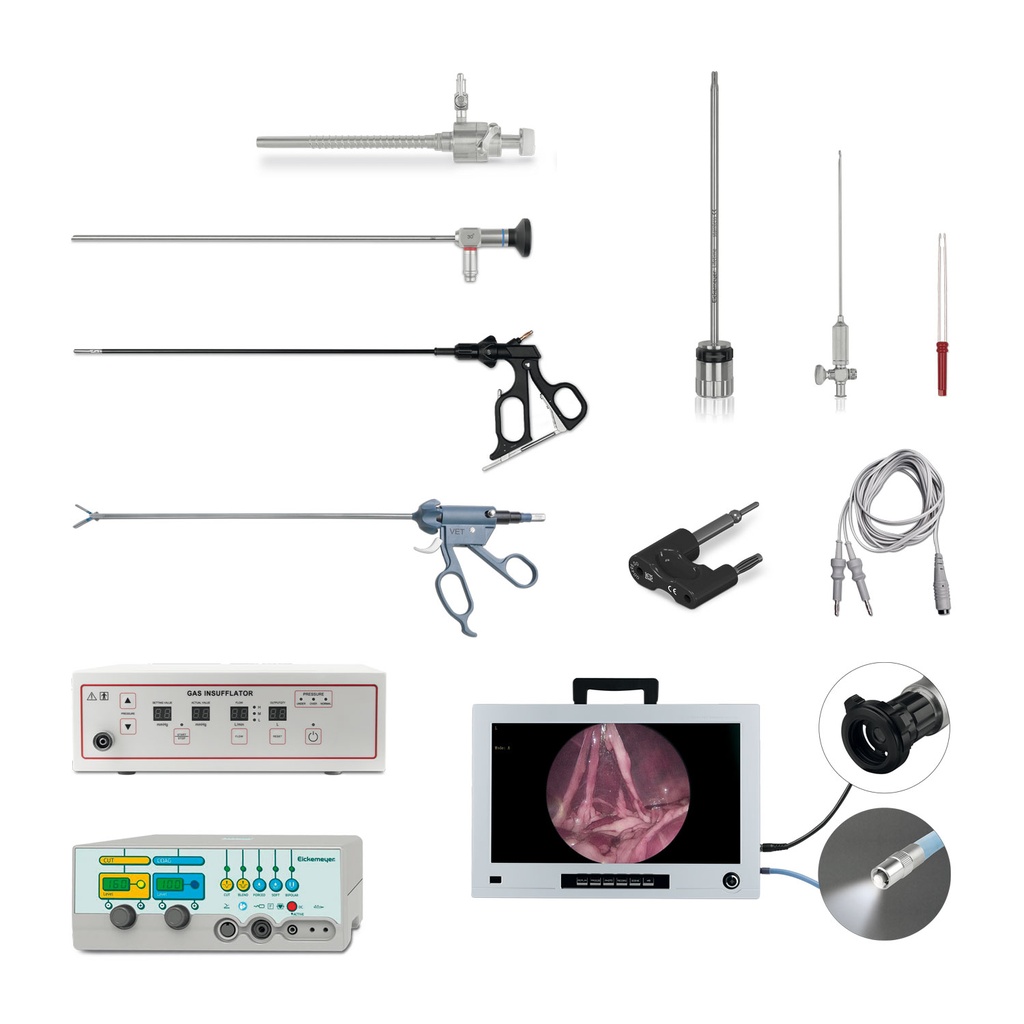 Laparoscopy Set for Dogs and Cats consisting of: 