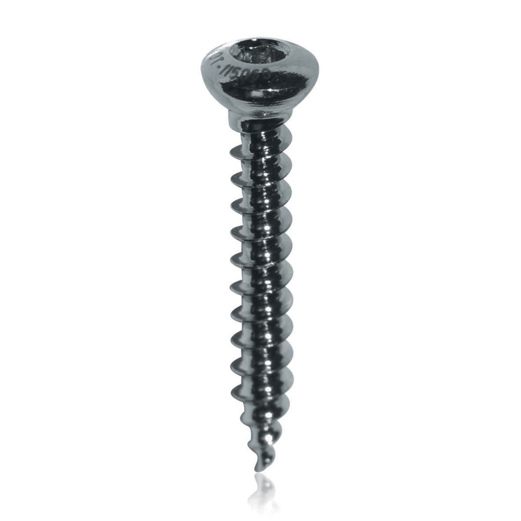 Cancellous screw D = 2.2 mm, L = 10 mm  