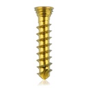 Titanium locking screw Ø2.3x12mm multi-directional, golden, Torx 6 self-drilling, self-tapping