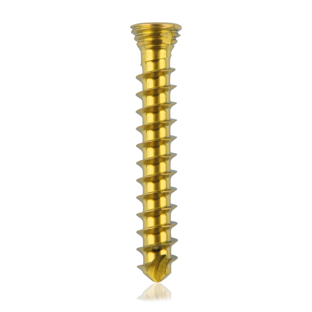 Titanium locking screw Ø2.3x16mm multidirectional, gold, Torx 6 self-drilling, self-tapping