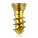 Titanium locking screw Ø2.3x 6mm multidirectional, gold, Torx 6 self-drilling, self-tapping