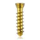 Titanium locking screw Ø2.3x10mm multidirectional, gold, Torx 6 self-drilling, self-tapping