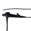 EickView 100 HD video endoscope  