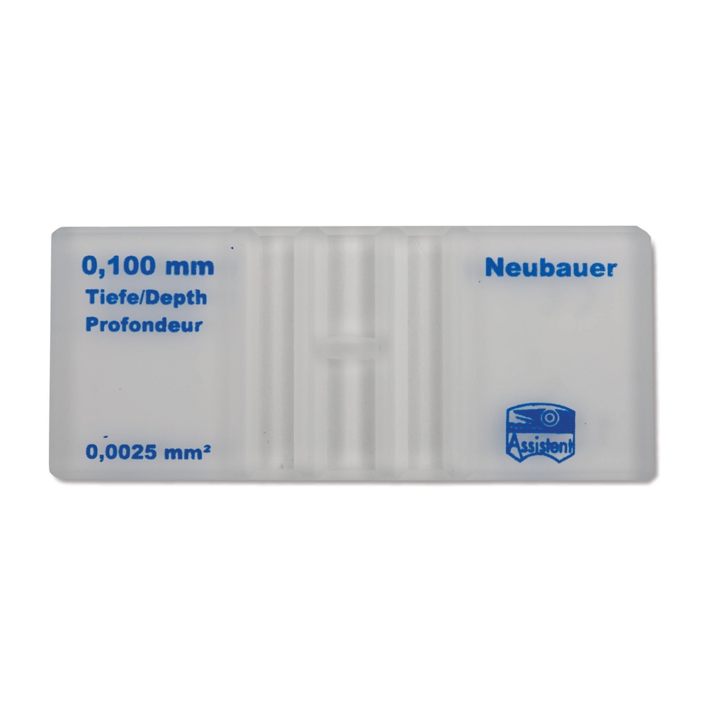 Counting piece Neubauer  