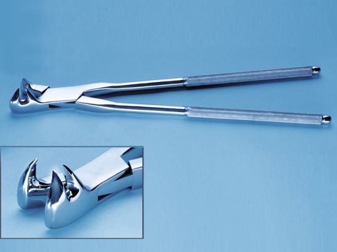 Molar forceps, three-root, box-joint with knurled handles, for very littlen crown in aged horses, on side