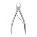 Tooth forceps, new model, 11 cm, 4 1/2"  