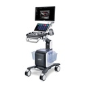 Vetus 50, Stationary ultrasound unit for small animal practice