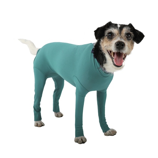 [VMC12018] Dog Body with legs size S plus female