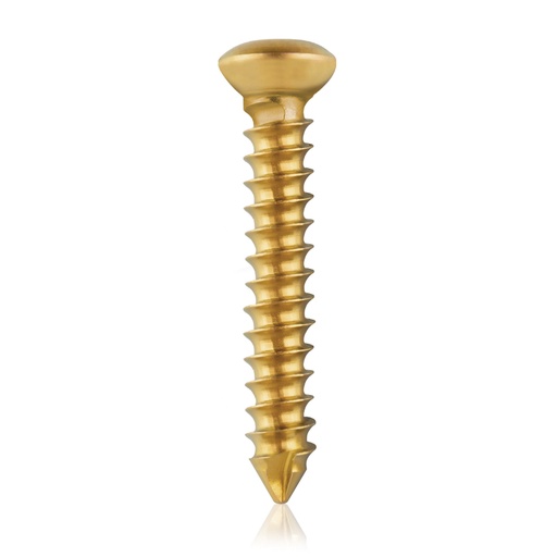 [191063] Cortical Screw, D=3,5mm; L=22mm self tapping, titanium 