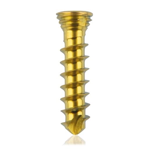 [185529] Titanium locking screw Ø2.3x10mm multidirectional, gold, Torx 6 self-drilling, self-tapping