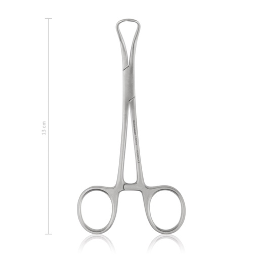 [973313] Towel forceps Backhaus, 13 cm,  