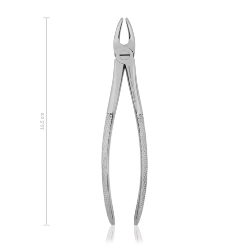 [176016] Tooth forceps, new model, 16,5 cm, 6 1/2" 