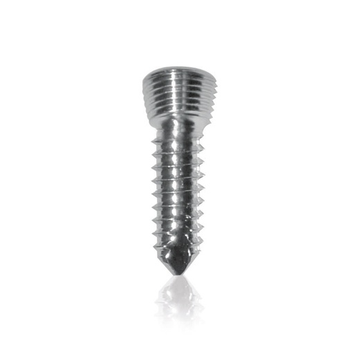 [18581035] Locking Screw D = 2,7mm, L = 14mm